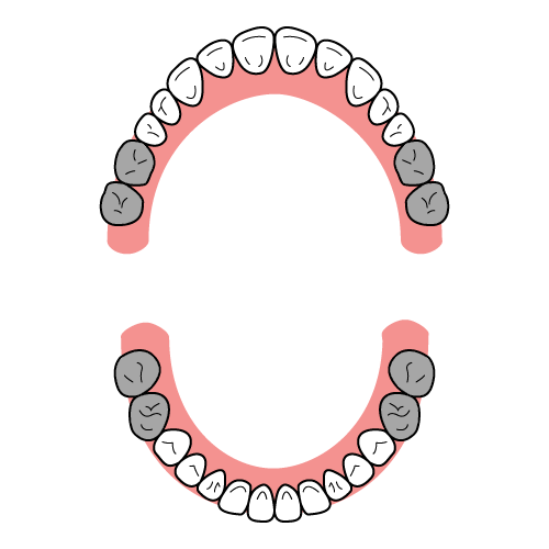 歯のイラストレーション